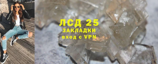ПСИЛОЦИБИНОВЫЕ ГРИБЫ Горнозаводск