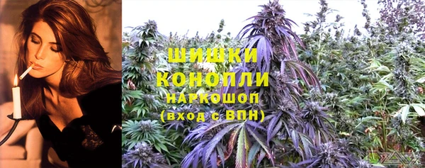ПСИЛОЦИБИНОВЫЕ ГРИБЫ Горнозаводск